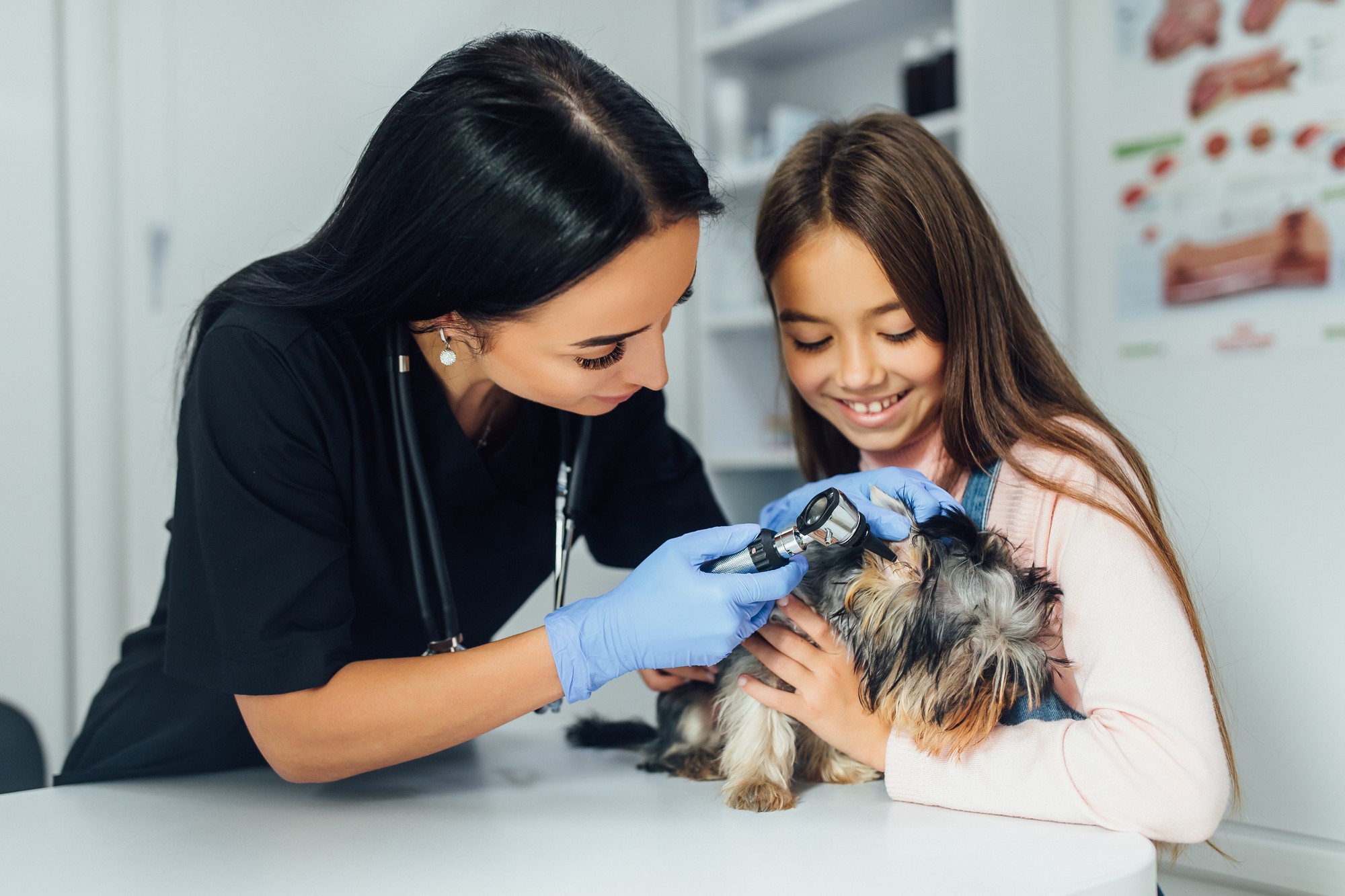 Linda médica veterinária e uma garotinha na clínica veterinária examinando o cachorrinho Yorkshire Terrier
