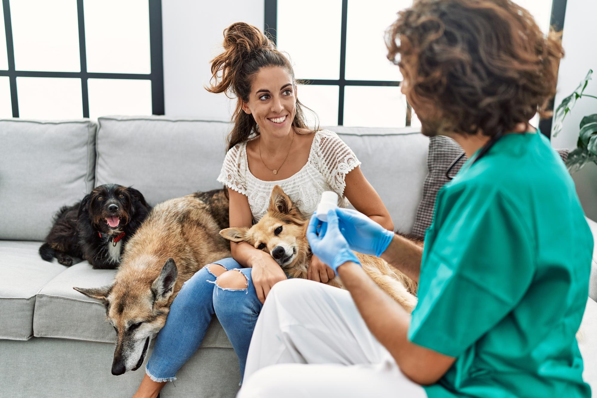 Homem e mulher vestindo uniforme veterinário examinando cachorro em casa