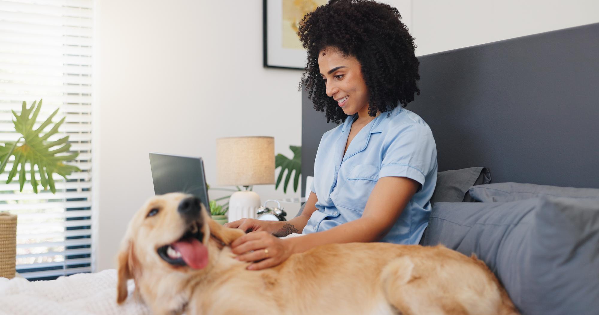Mulher sorridente com laptop e cachorro na cama, pesquisando online sobre aplicativos e seguro para animais de estimação. Mulher feliz e seu Labrador com PC para cobertura de saúde animal, benefícios premium e solicitações de reembolso veterinário em casa.