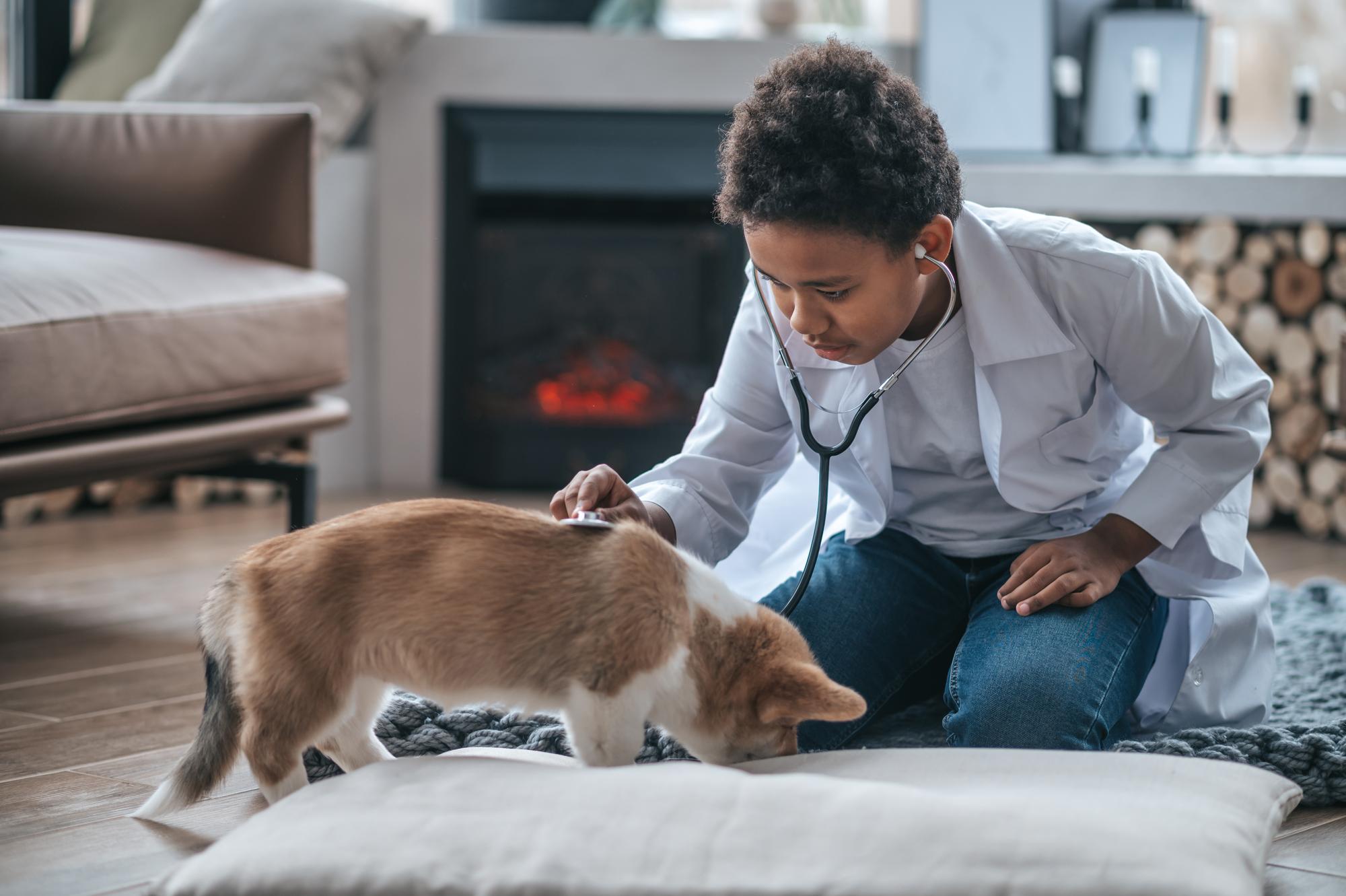 Filhote de cachorro doente. Menino de pele escura em um jaleco examinando um cachorrinho
