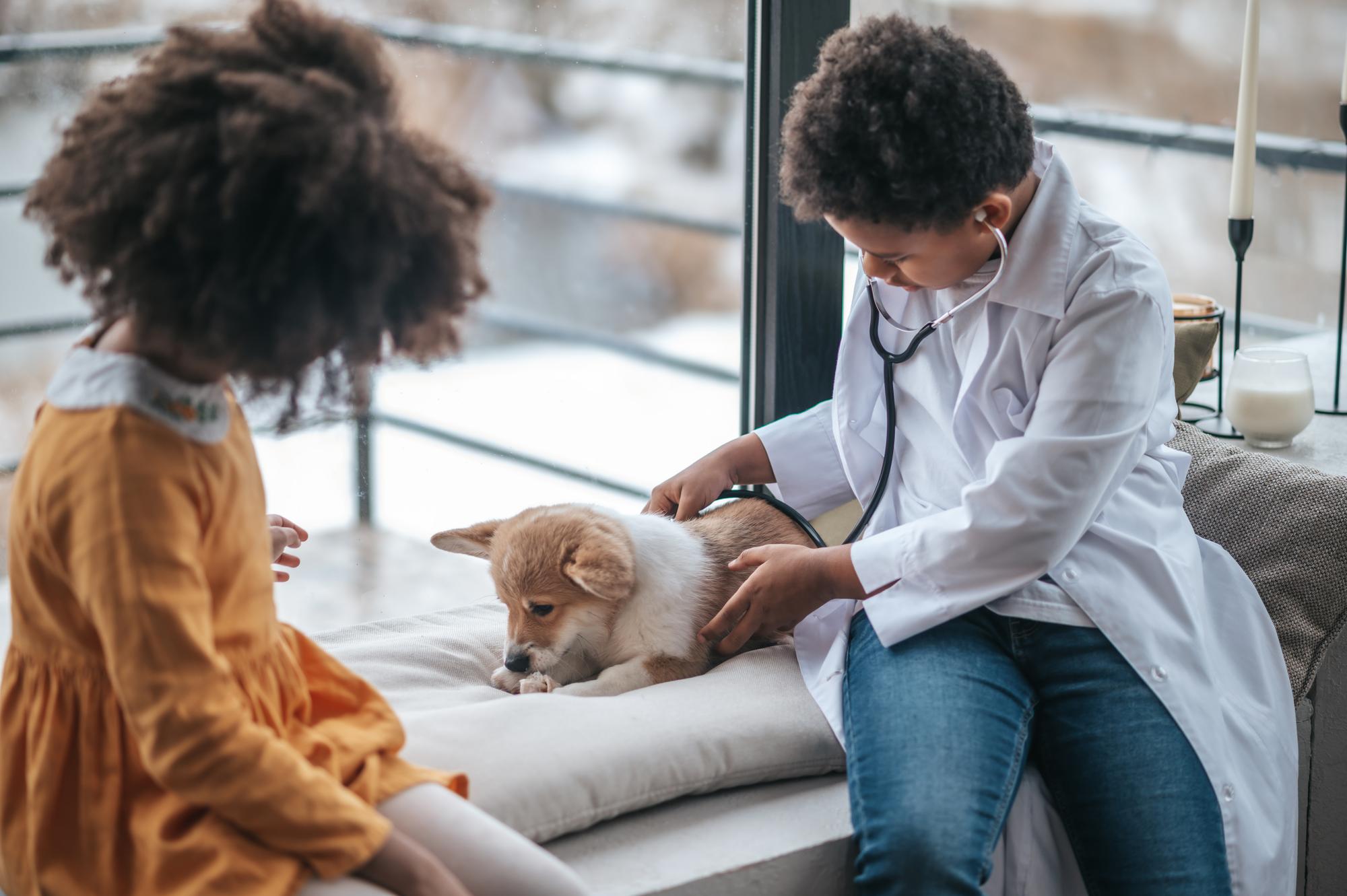 Duas crianças sentadas perto do cachorro doente e examinando-o