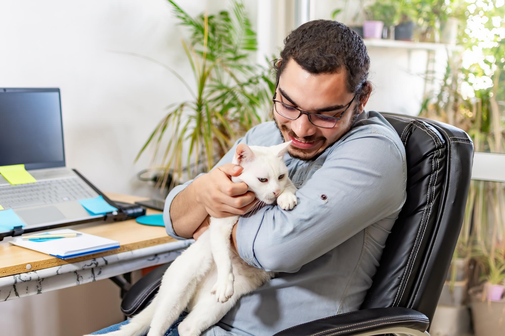 Homem freelancer casual dando uma pausa no trabalho remoto com gato