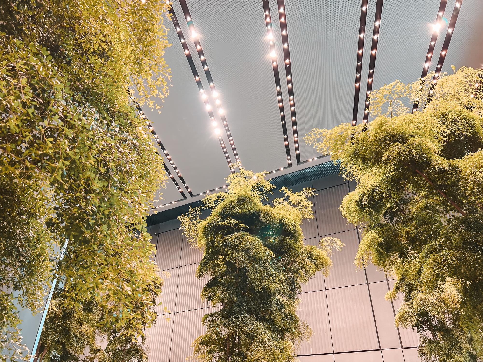 Interior de sala de estar luxuosa com design biofílico, automação de iluminação e vista para jardim privativo